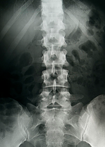 214ec6 38b91a0e774f20f32f31a7bf56838dc7